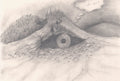DIGITAL FRAME 023